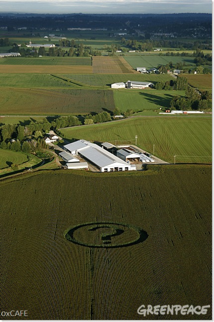 Greenpeace et les OGM
