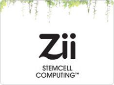 Creative Zii