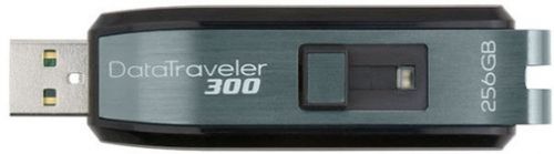 Kingston DataTraveler 300 256Go