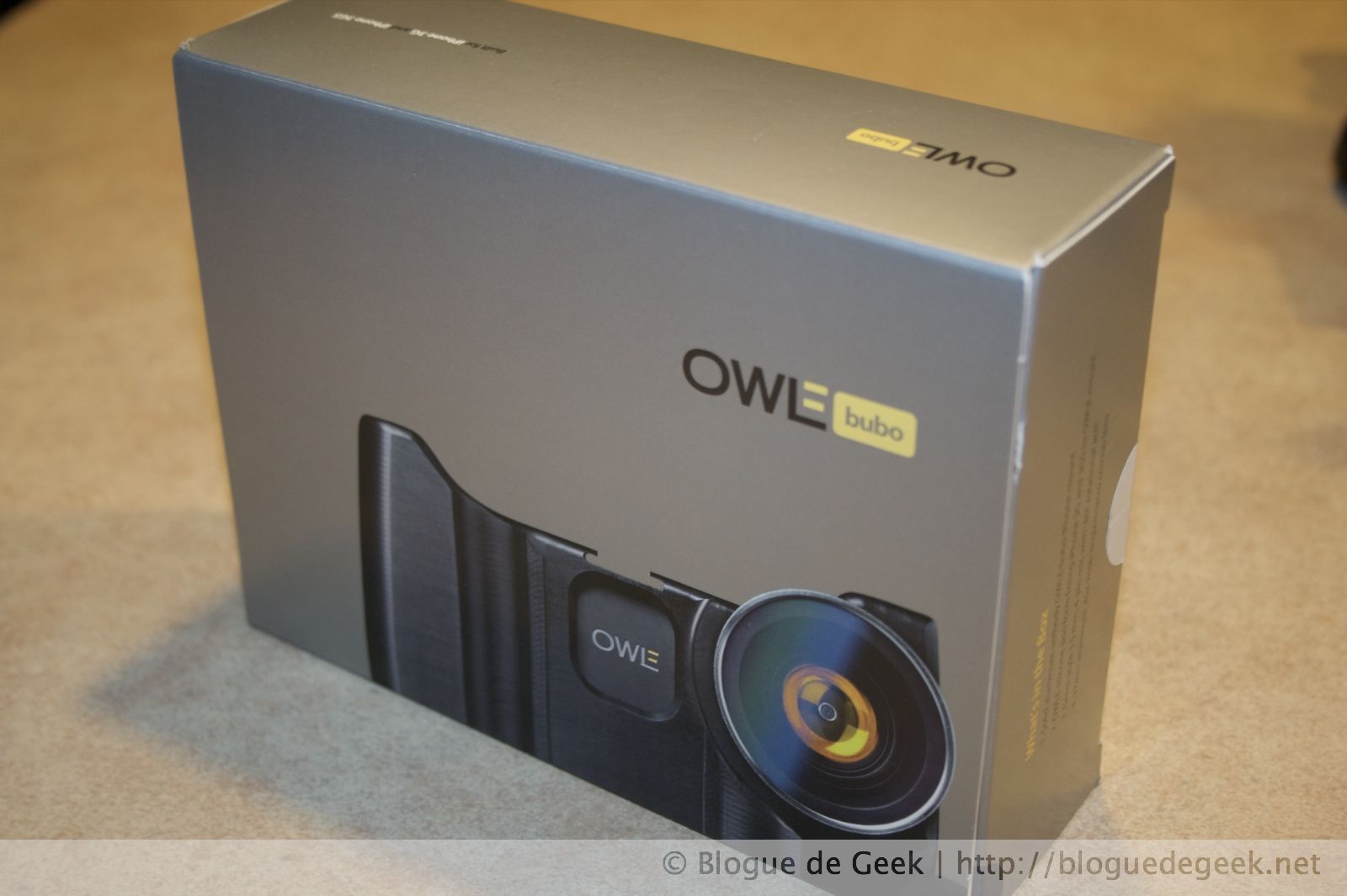 Owle Bubo