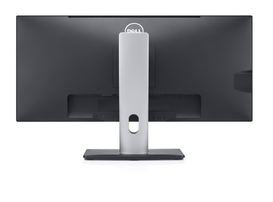 Dell U2913WM
