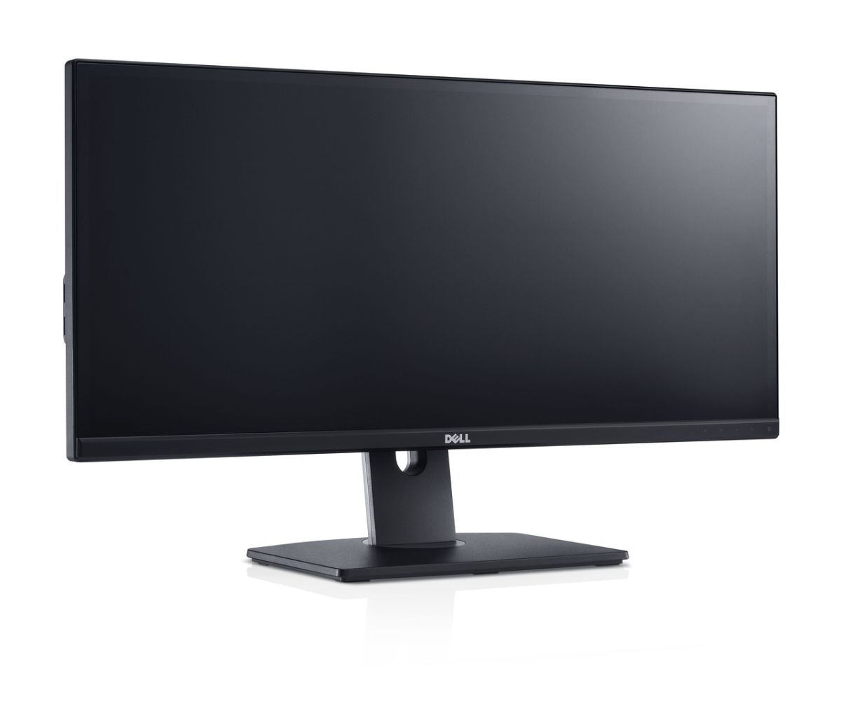 Dell U2913WM