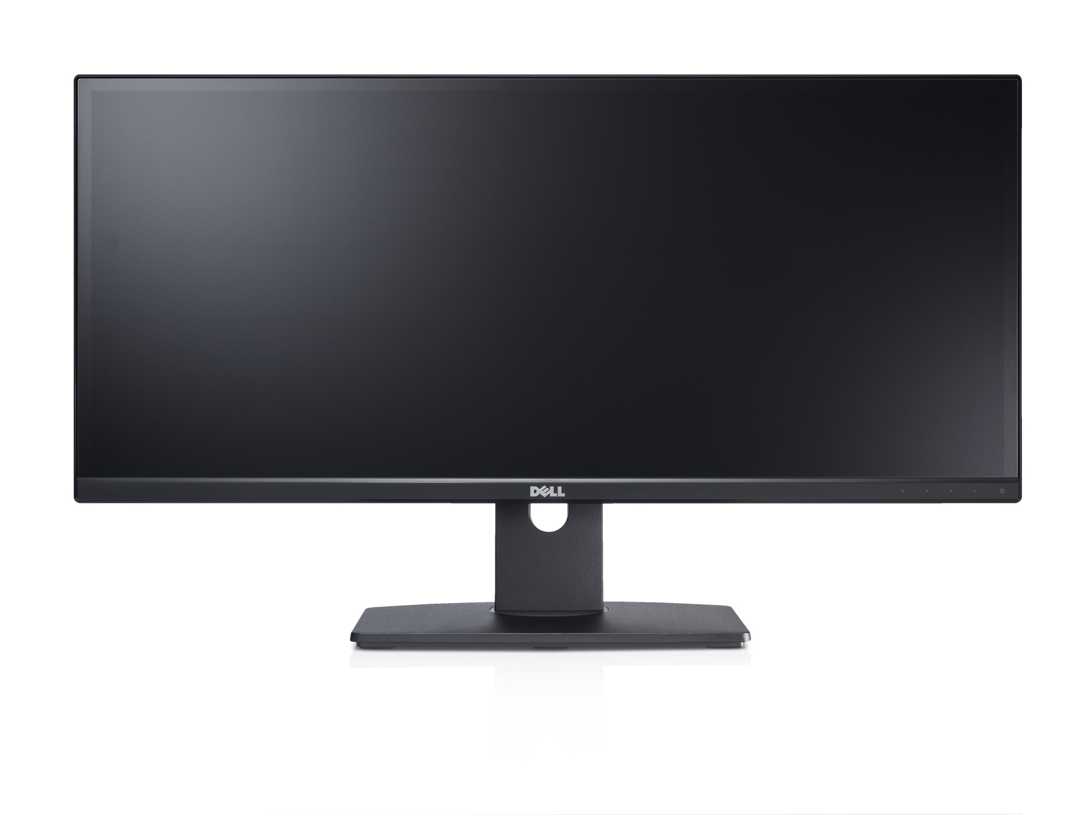 Dell U2913WM