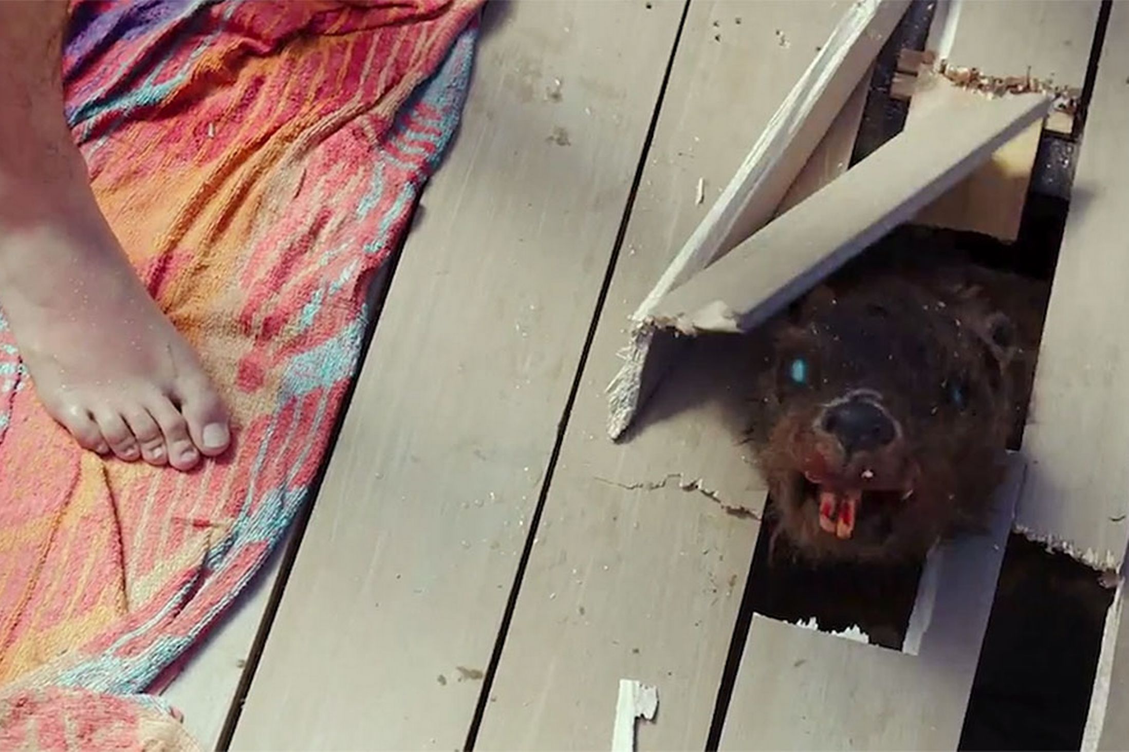 Zombeavers
