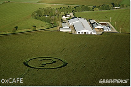 Greenpeace et les OGM